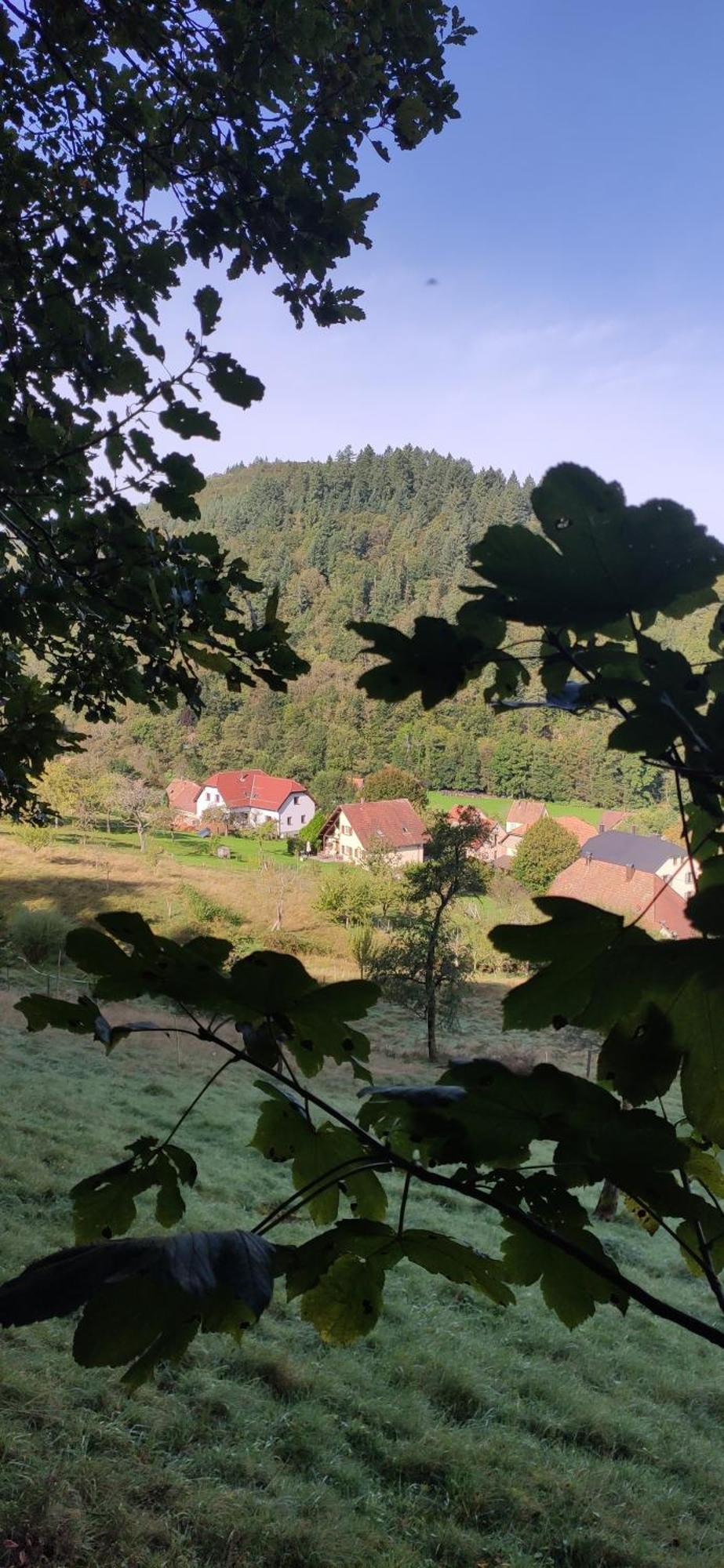 Appartement Douillet Avec Vue Sur Les Montagnes Fouchy Luaran gambar